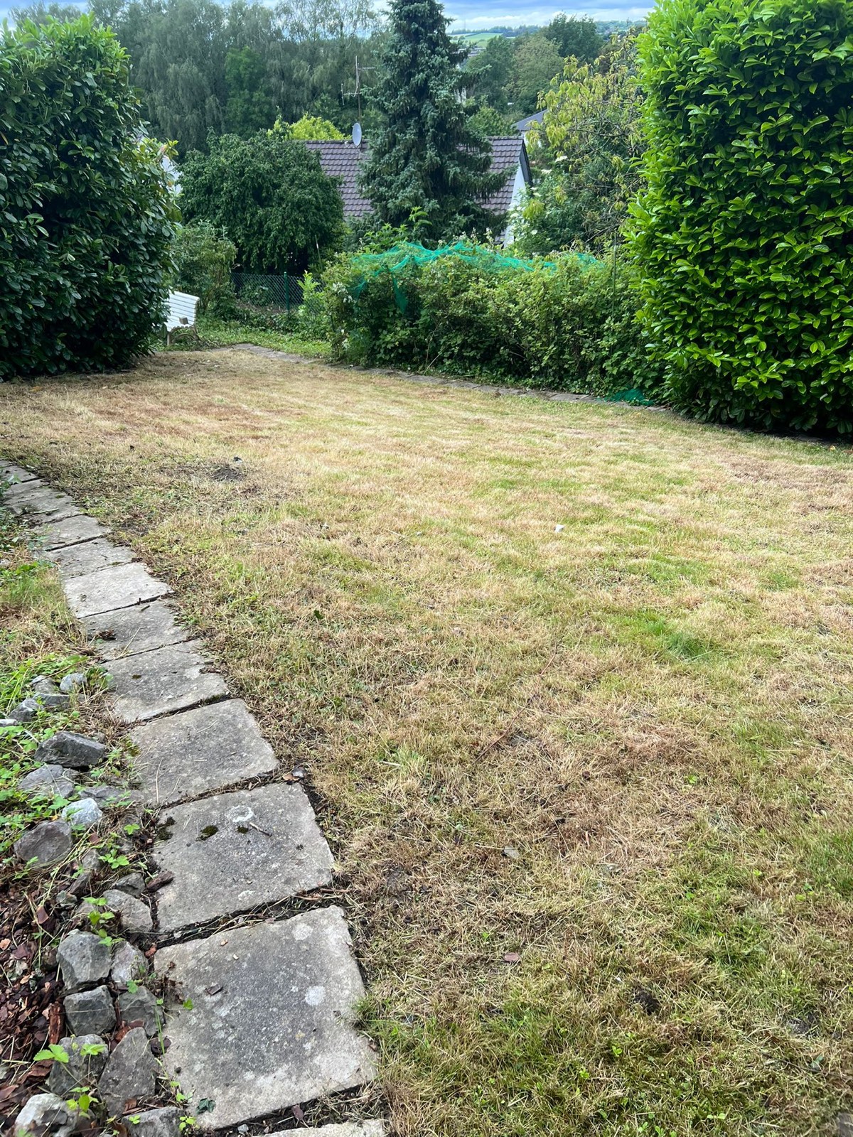 Kurz gemähte Rasenfläche nach der vereinbarten Gartenarbeit