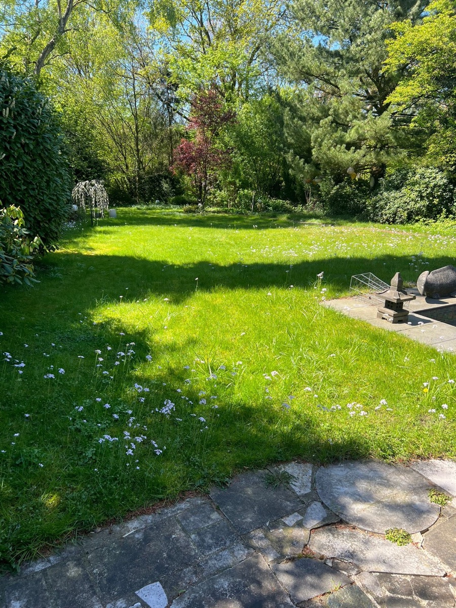 Vorher: Gartenarbeit